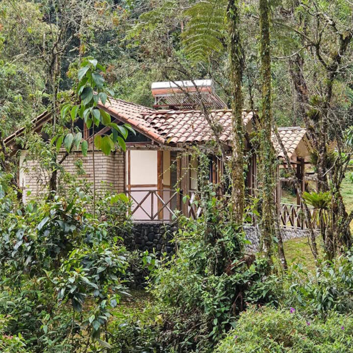 Termales San Vicente - Imagen 3