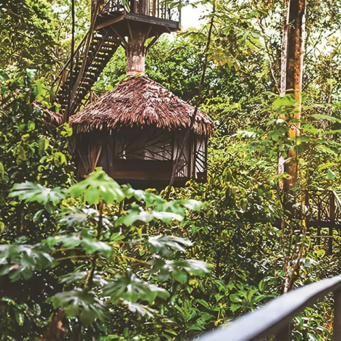 Amazonas - Imagen 2
