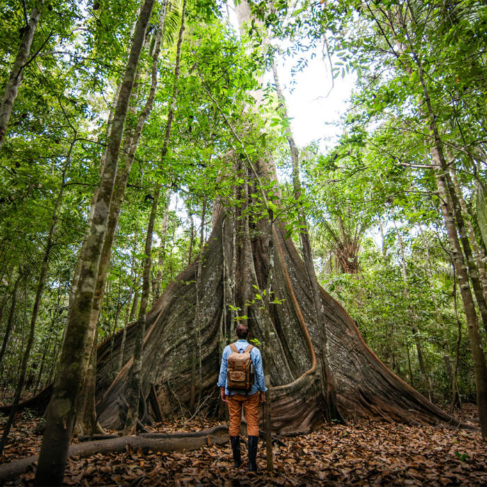 Amazonas
