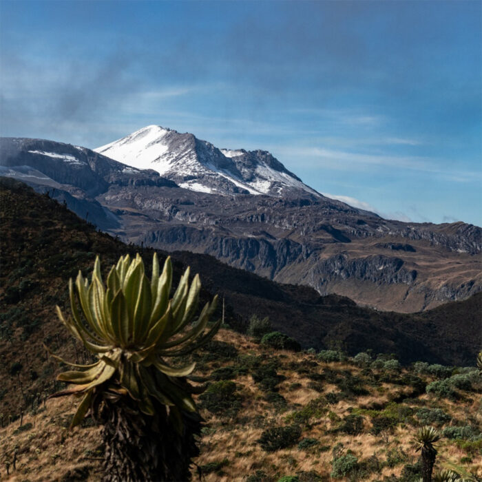 Ruta de Nevado y Termales