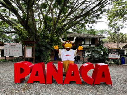 Panaca