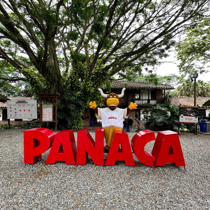 Panaca