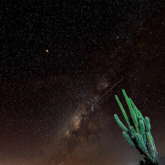 Desierto Tatacoa - Imagen 2