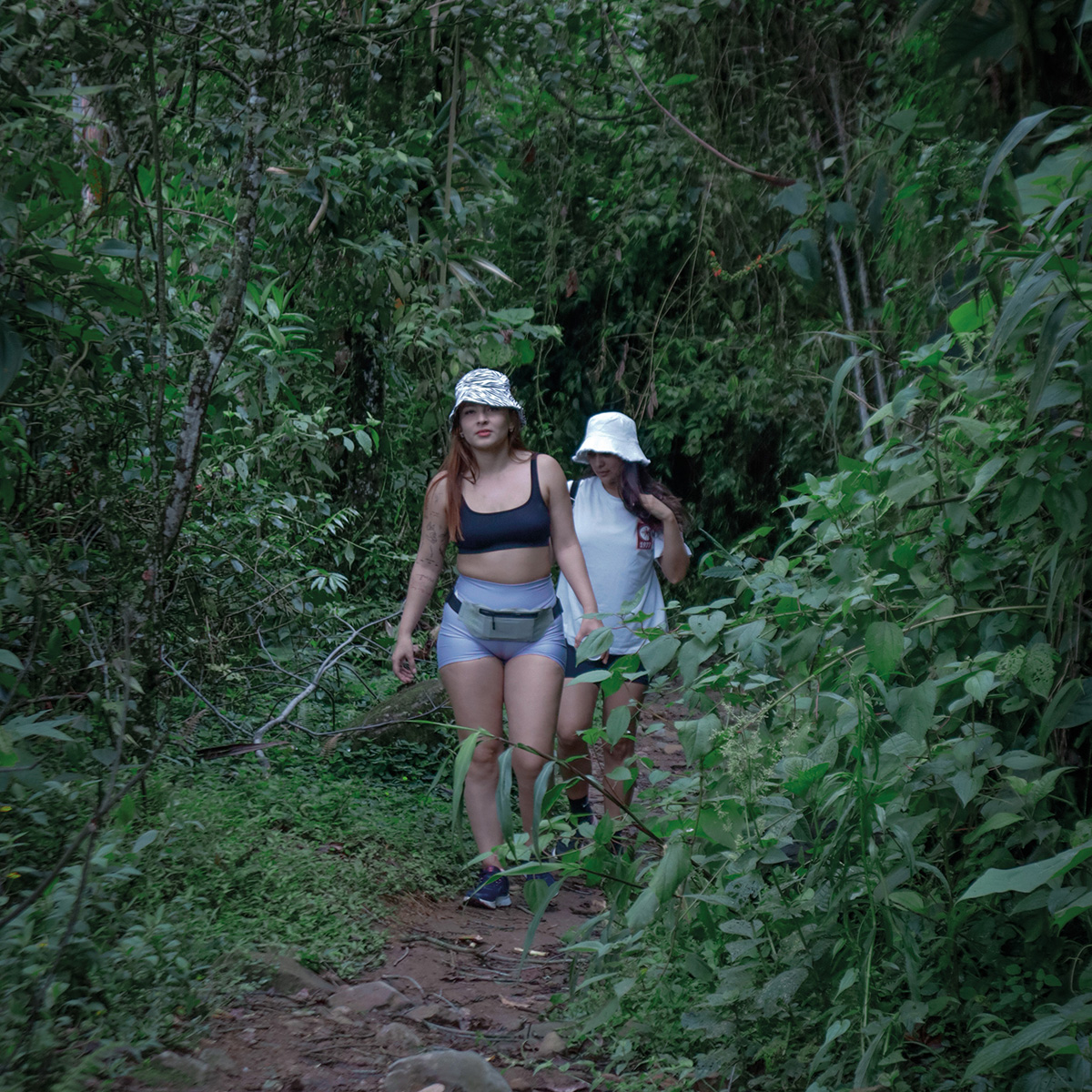 Termales + Cata Café + Avistamiento nocturno - Imagen 3