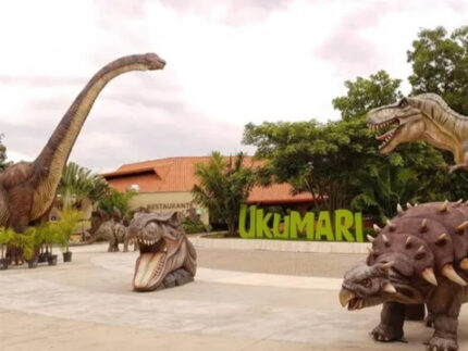 Ukumari
