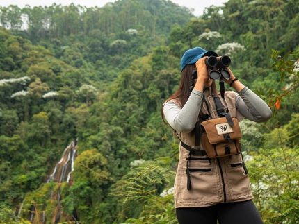 Avistamiento de Aves + Termales con Almuerzo