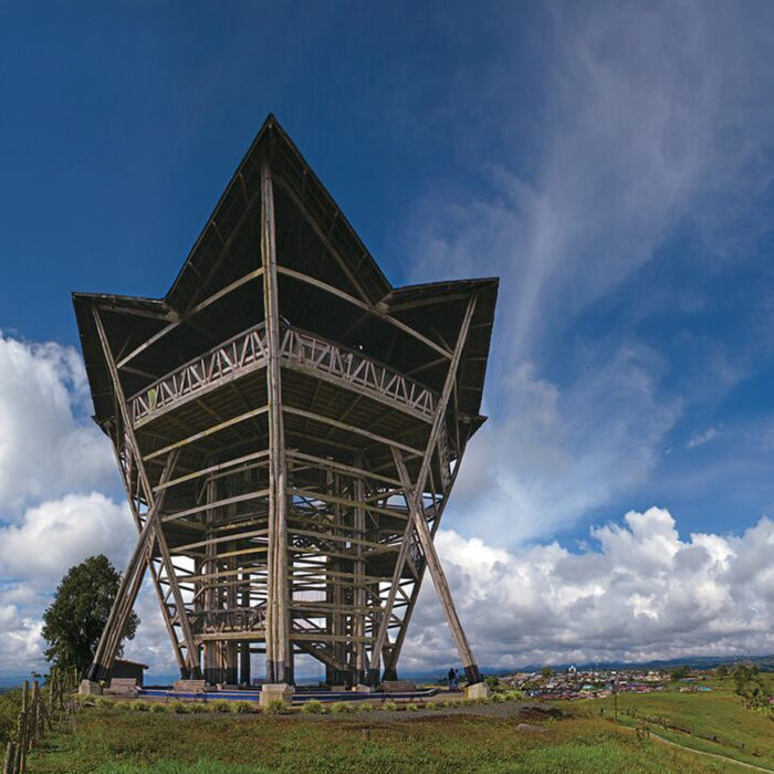 Salento, Filandia y Cocora - Imagen 2