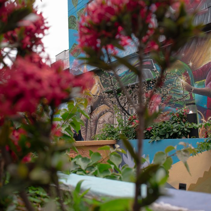 Tour de Cascadas + City Tour de Bebidas - Imagen 2